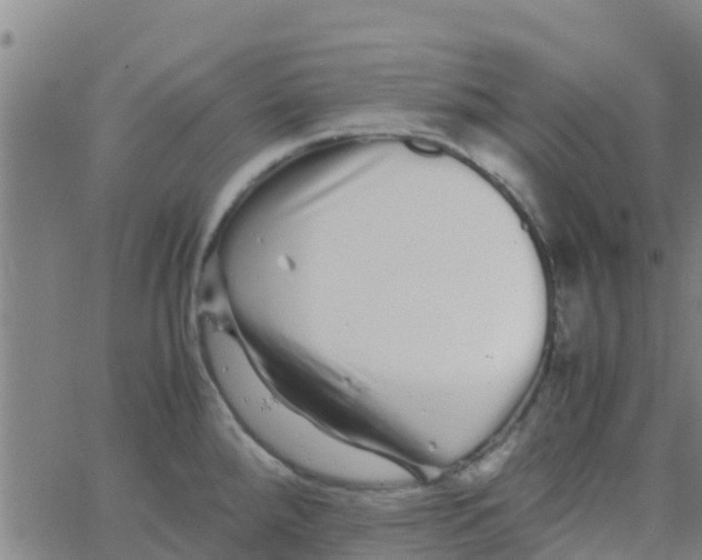 X0000066081288200603311926