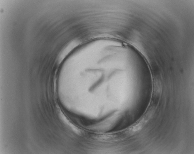 X0000066081290200603311926