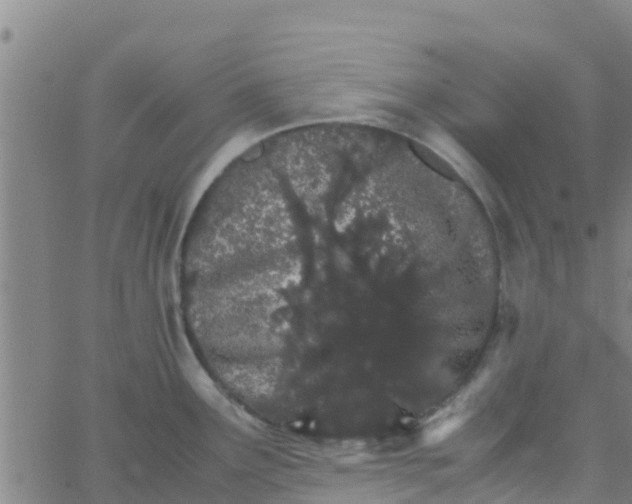 X0000066081291200603311926