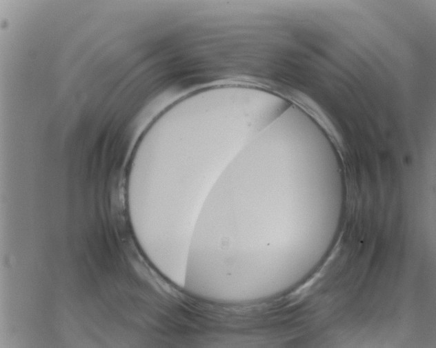 X0000066081292200603311926