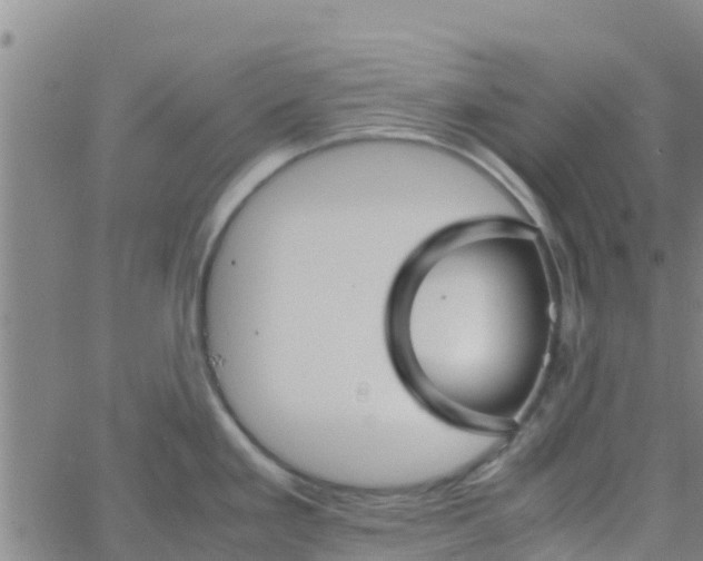 X0000066081293200603311926