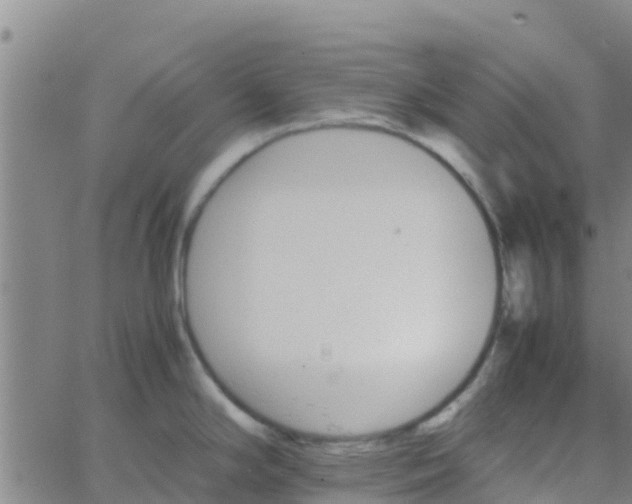 X0000066081294200603311926