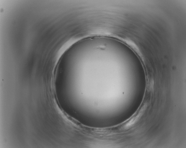 X0000066081295200603311926