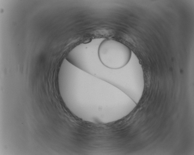 X0000066081297200603311925