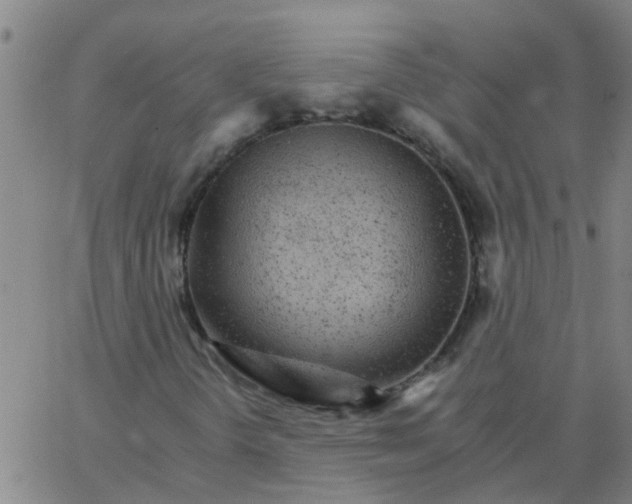 X0000066081298200603311925