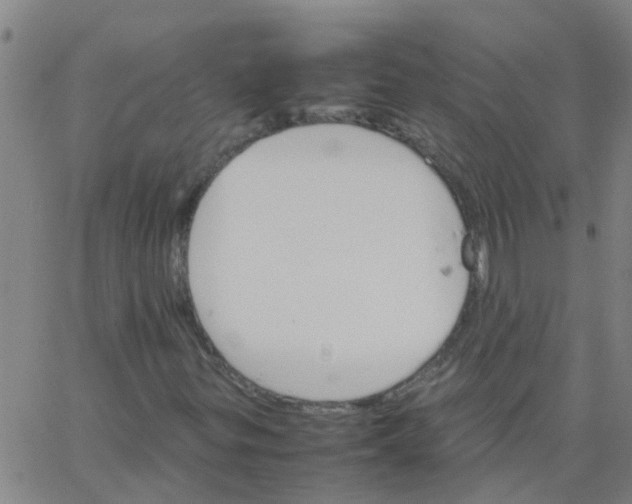 X0000066081299200603311925