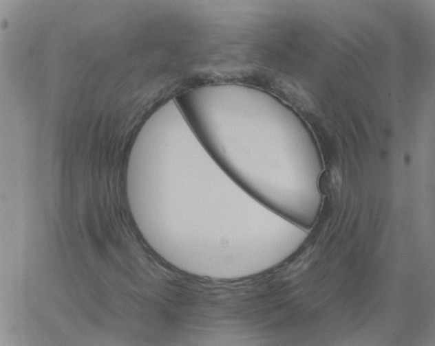 X0000066081300200603311925