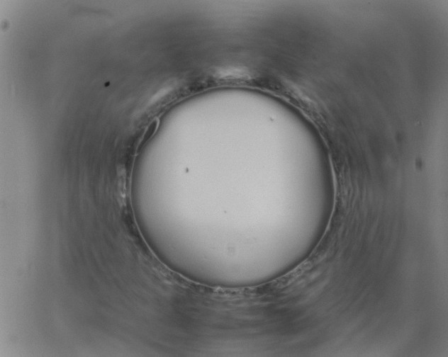 X0000066081301200603311925