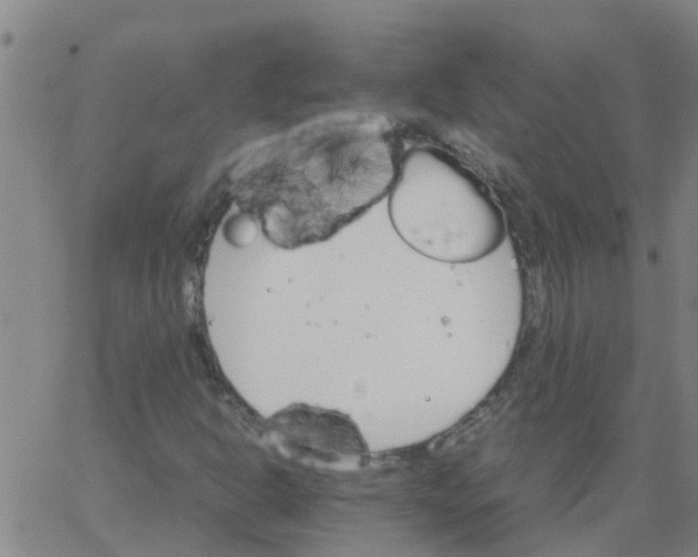 X0000066081302200603311925