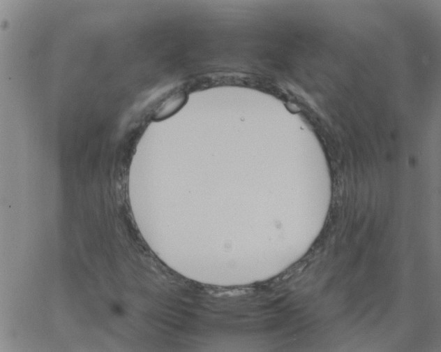 X0000066081303200603311925