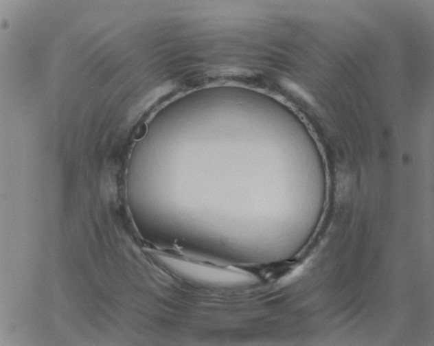 X0000066081305200603311925