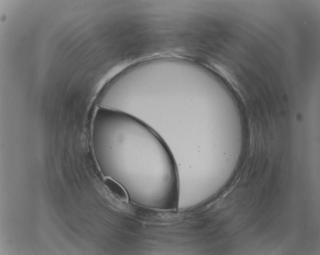 X0000066081308200603311925