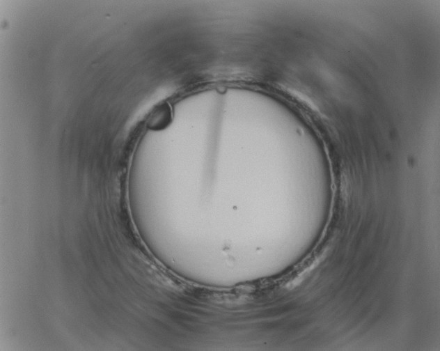 X0000066081309200603311925