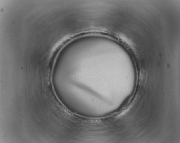 X0000066081310200603311925