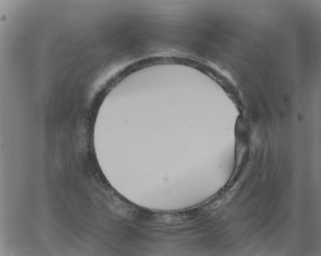 X0000066081311200603311925