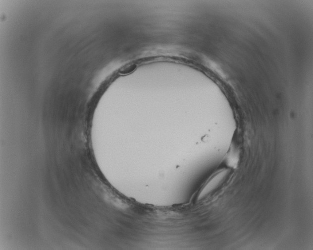 X0000066081312200603311925