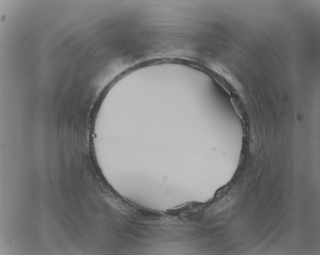 X0000066081316200603311925