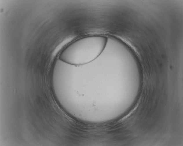 X0000066081317200603311925