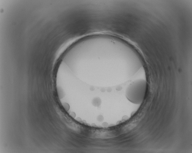 X0000066081319200603311925