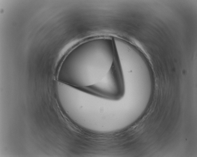 X0000066081320200603311925