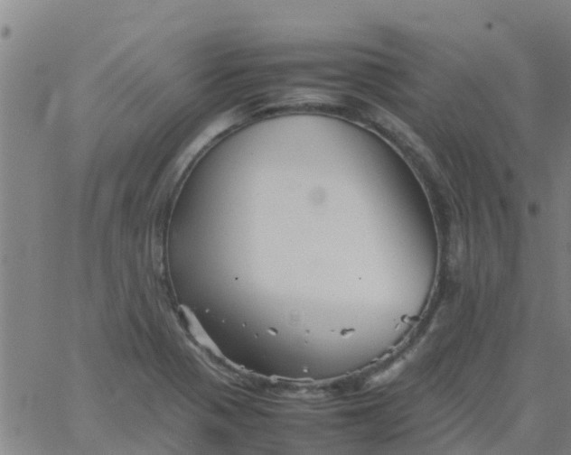 X0000066081321200603311925