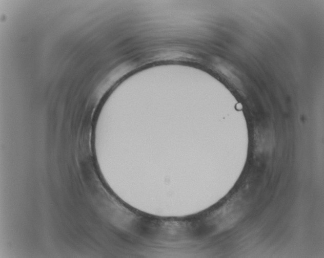 X0000066081322200603311925