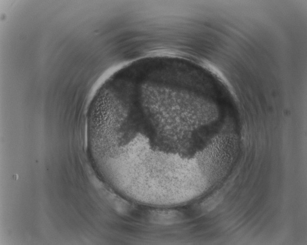 X0000066081323200603311925