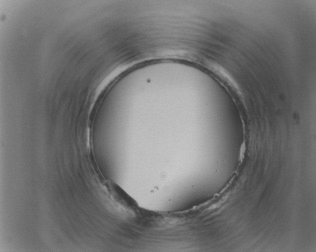 X0000066081324200603311925