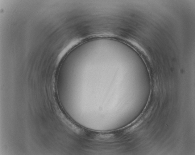 X0000066081325200603311925