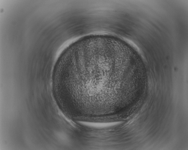 X0000066081327200603311925