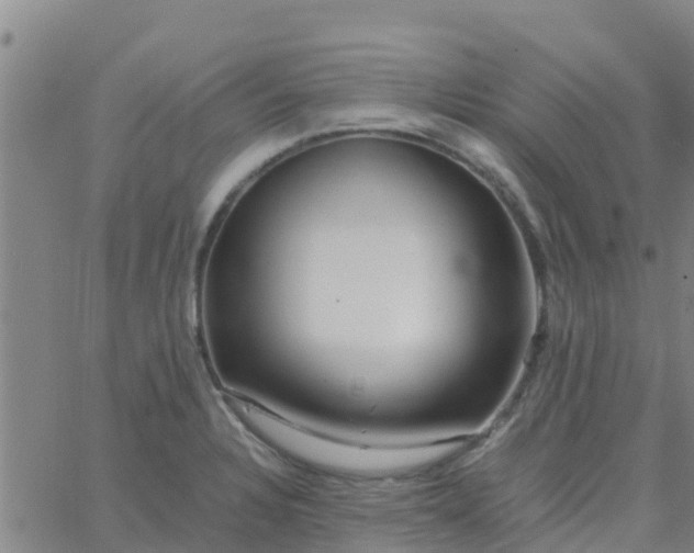 X0000066081328200603311925