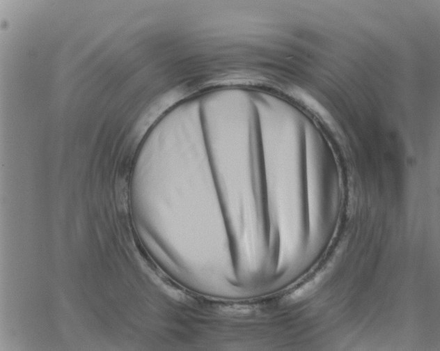 X0000066081329200603311925