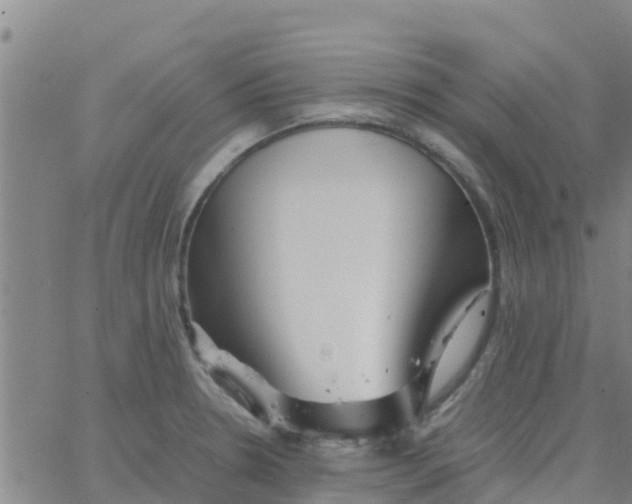 X0000066081330200603311925