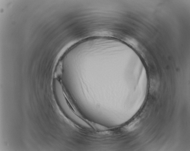 X0000066081331200603311925