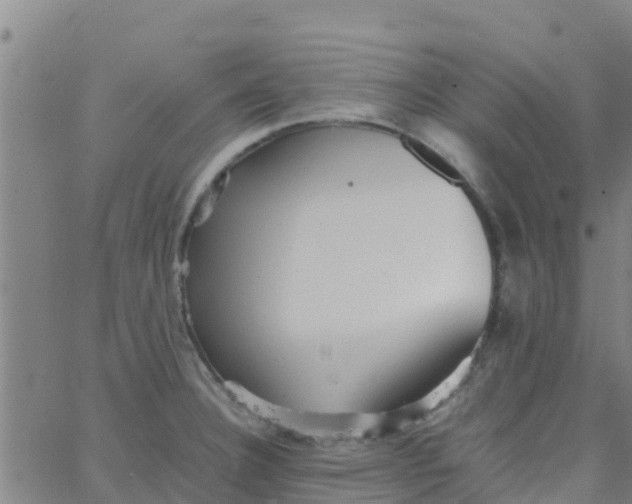 X0000066081332200603311925