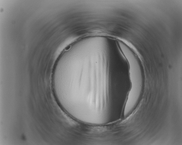 X0000066081333200603311925