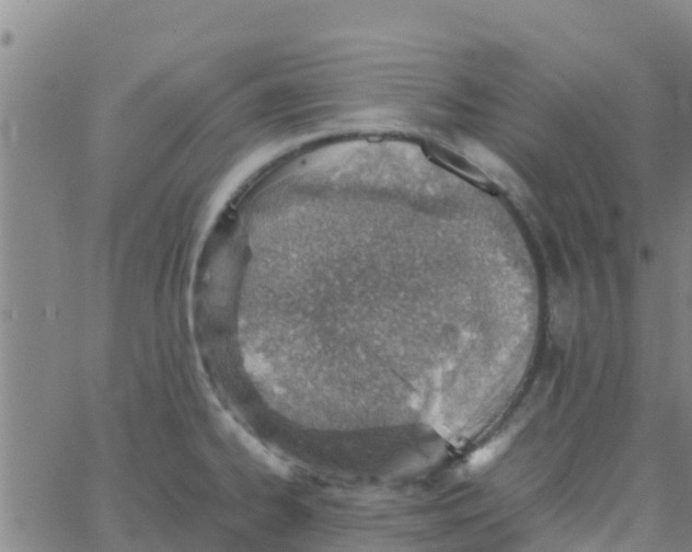 X0000066081334200603311925