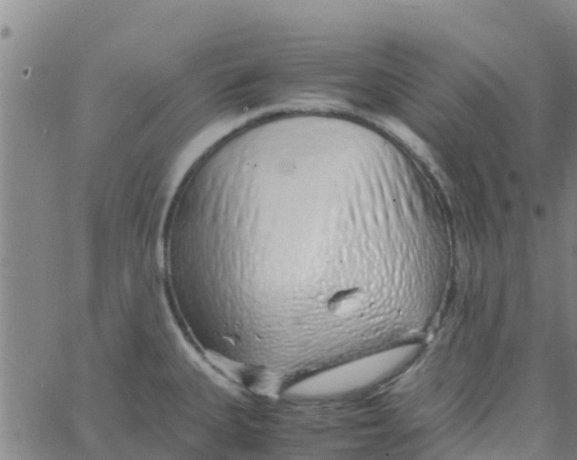 X0000066081335200603311925