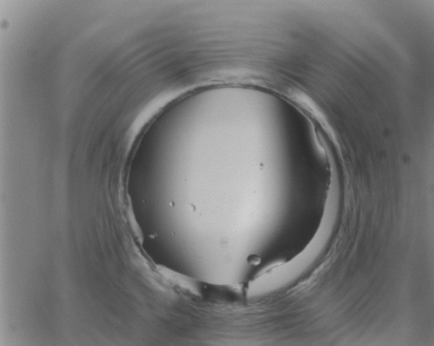 X0000066081336200603311925