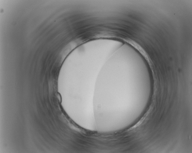 X0000066081337200603311925