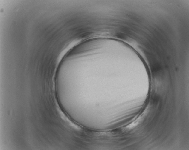 X0000066081341200603311925