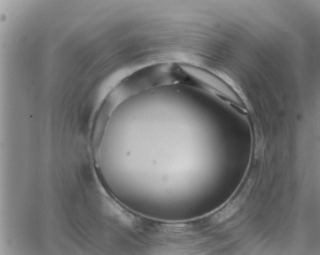 X0000066081342200603311926