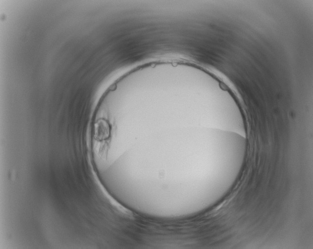 X0000066081343200603311926