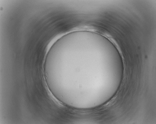 X0000066081344200603311926