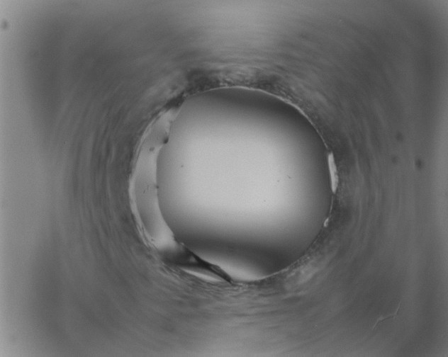 X0000066081345200603311925