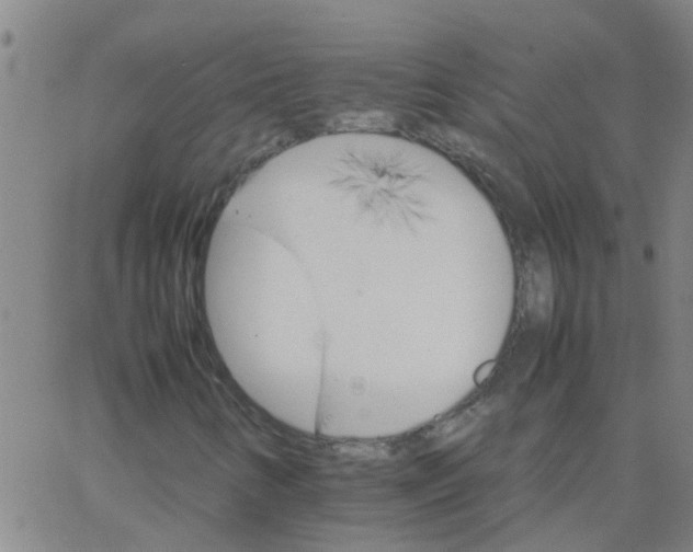 X0000066081346200603311925