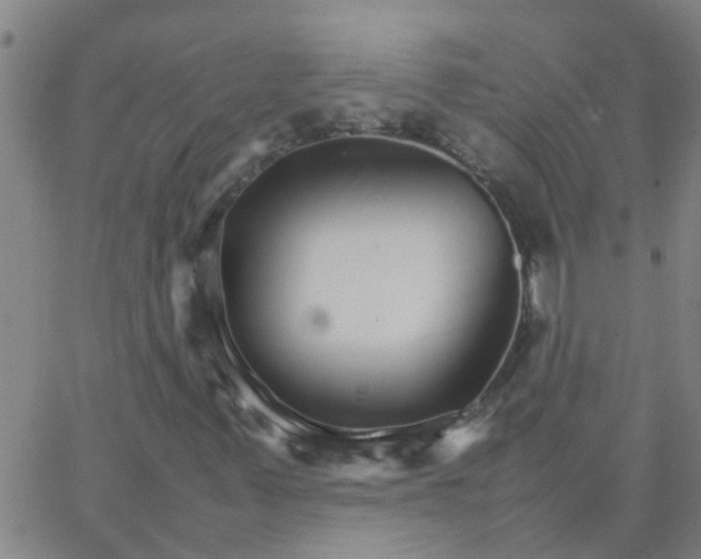 X0000066081347200603311925