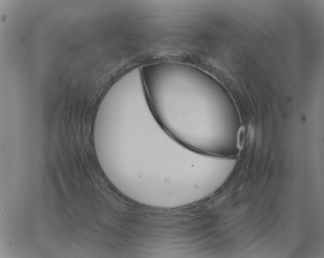 X0000066081348200603311925