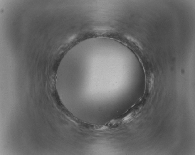 X0000066081349200603311925