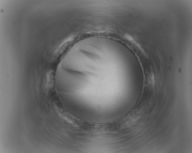 X0000066081350200603311925